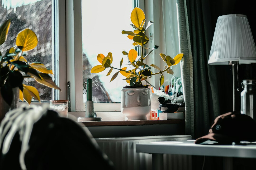 Portrait of a young Danish woman sitting by a window in soft daylight