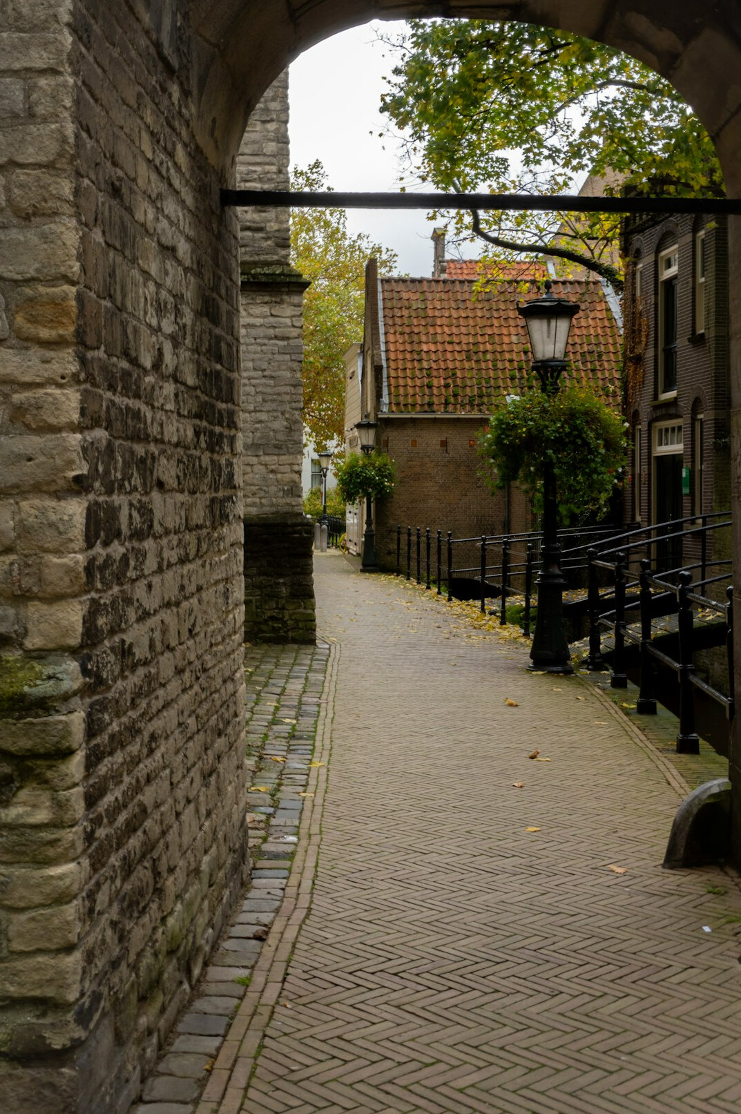 Narrow cobblestone alley between old townhouses in a Danish town