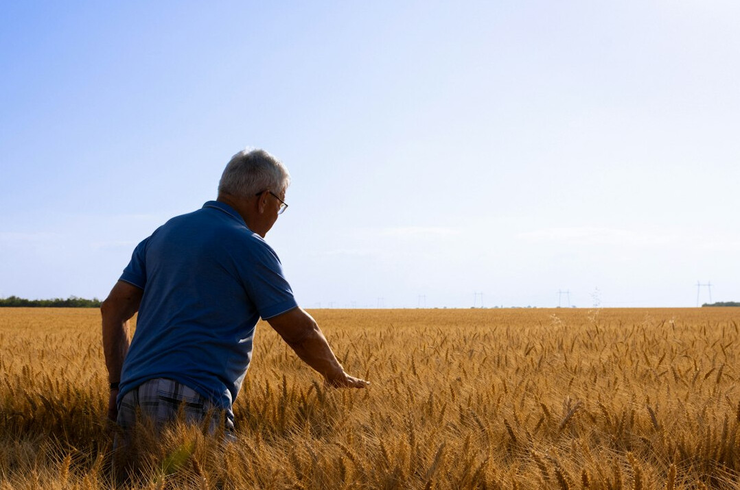 Portrait of a Danish farmer standing in a green field