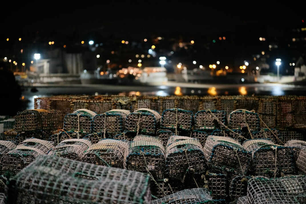 Fishing nets drying by the harbor at dawn